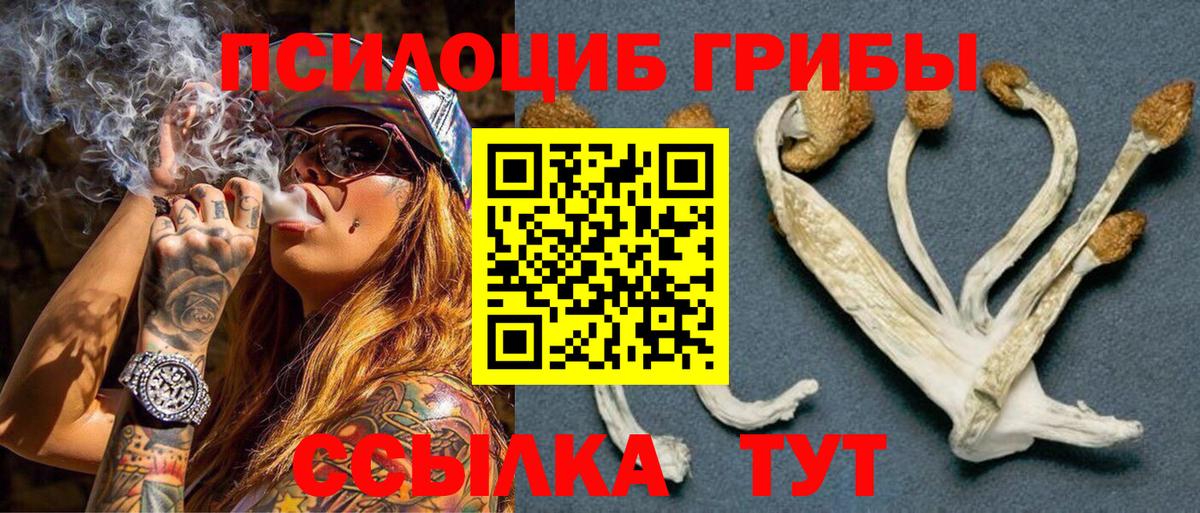 Псилоцибиновые грибы Magic Shrooms Москва